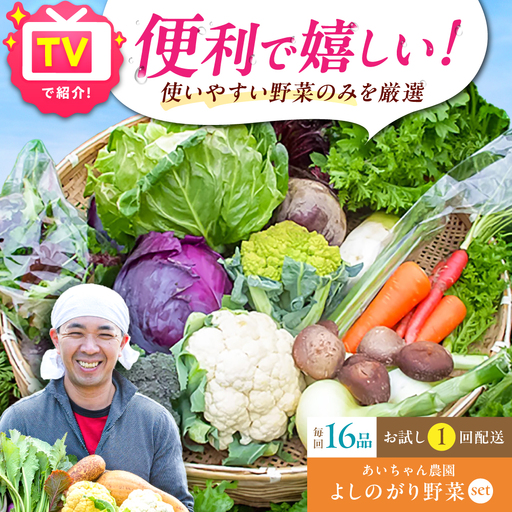 [16品]農薬に頼らない!カラダにやさしい「よしのがり野菜」セット(ラージ)吉野ヶ里あいちゃん農園 