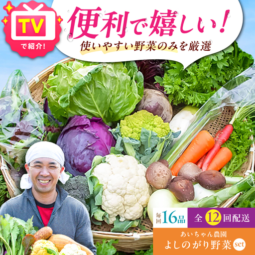 【16品 / 12回定期便】「よしのがり野菜」セット（ラージ）[FAA010]