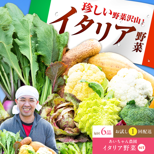 [6品]農薬に頼らない!カラダにやさしい「イタリア野菜」セット(ショート)[吉野ヶ里あいちゃん農園]野菜 やさい
