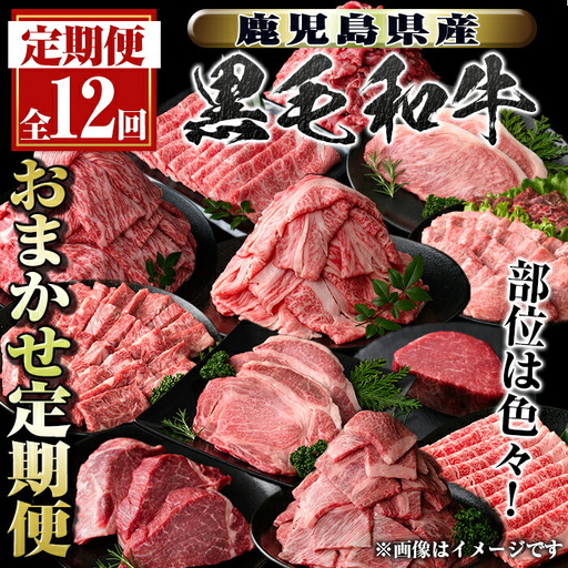 [定期便・全12回]鹿児島県産黒毛和牛おまかせ定期便 鹿児島 牛肉 黒毛和牛 シャトーブリアン サーロインステーキ リブロース カルビ 焼肉 すき焼き 定期便[新村畜産]