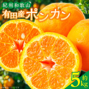 【2027年先行予約】紀州和歌山有田産 ポンカン 5kg_G7055
