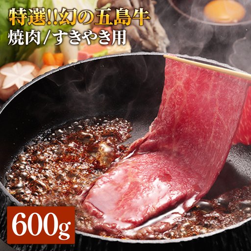 五島牛 ロース600g（焼肉用/すき焼用） 五島市/ニク勝[PBF002]  やきにく 焼肉 すきやき 牛肉 牛 にく ロース 国産