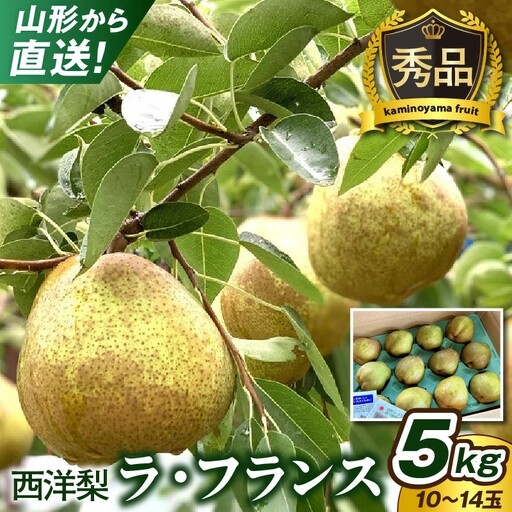 西洋梨（ラ・フランス）５ｋｇ　１０～１４玉　0079-2619
