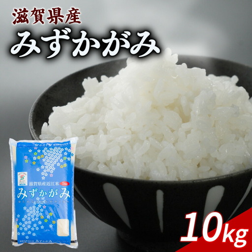 みずかがみ 10kg ミズカガミ お米 (令和7年産)