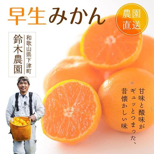 訳ありみかん 5kg 混合サイズ みかん 和歌山県海南市鈴木農園から直送