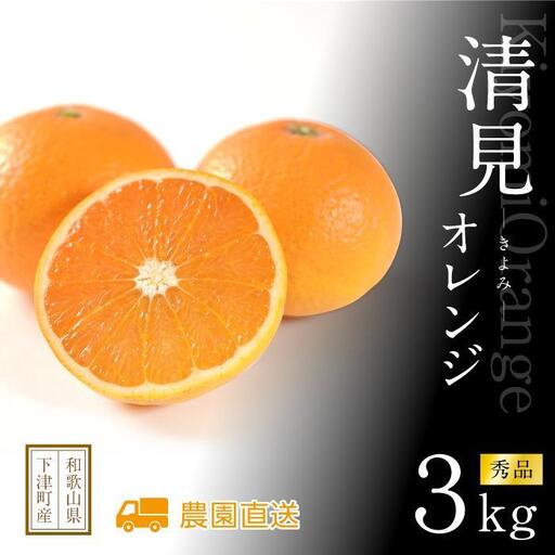 清見オレンジ 約3kg 《2027年3月から出荷予定》期間限定 フルーツ 果物 清見オレンジ みかん