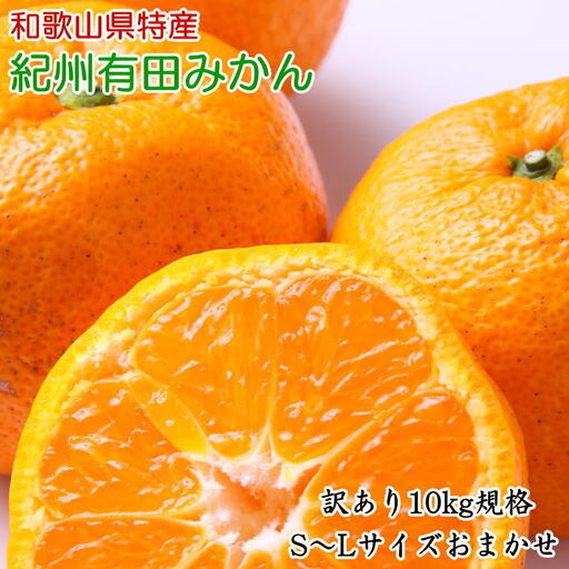 [訳あり規格]和歌山有田みかん10kg（S～Lサイズおまかせ）※2026年11月中旬～2027年1月中旬頃に順次発送予定(お届け日指定不可)【tec830A】