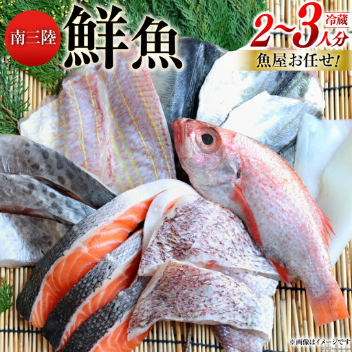 鮮魚 詰め合わせ 魚屋お任せ！南三陸お楽しみ鮮魚 セット 2?3人分