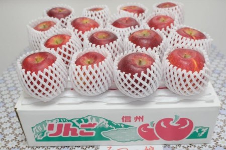 [10月中旬発送予定]しっかり甘さの希少品種 こうたろう 1箱(5kg) 003-009