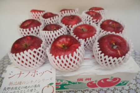 [11月中旬発送予定] 長野生まれの甘いりんご シナノホッペ 1箱(5kg) 003-010