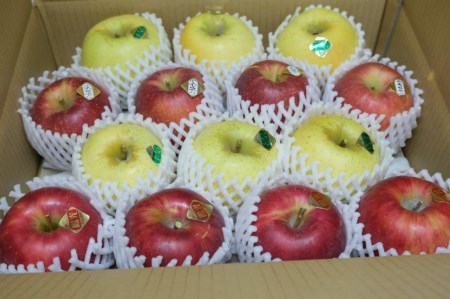 [10月中旬発送予定]農家おまかせ 3品種りんご詰め合わせ 1箱(5kg) 003-011