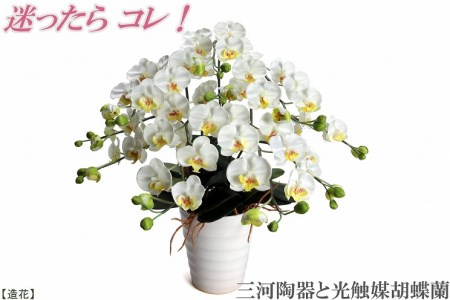 綺麗で丈夫な三河陶器で贈る光触媒胡蝶蘭小輪5本立(白の陶器×白色の花)H100-078