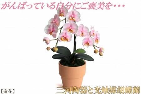 綺麗で丈夫な三河陶器で贈る光触媒胡蝶蘭小輪1本立(ピンクの陶器×桃色の花)H100-080