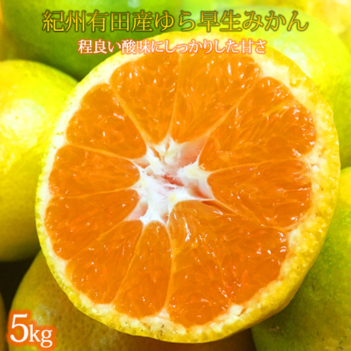 紀州和歌山有田産ゆら早生みかん　5kg［2026年発送］［UT34］