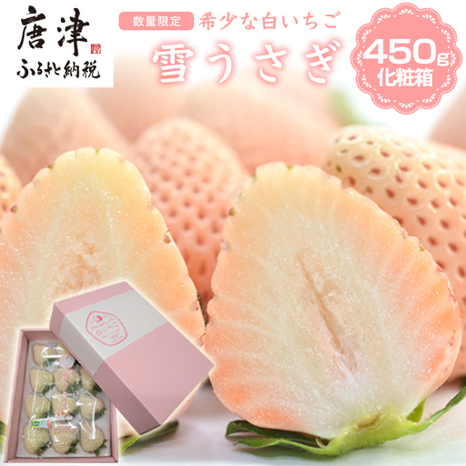 『先行予約』【令和9年1月より順次発送】白いちご 雪うさぎ 450ｇ入り化粧箱（佐賀県唐津市限定生産）
