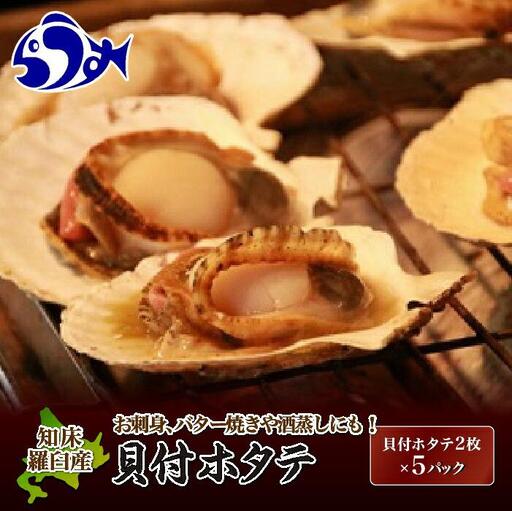 知床羅臼産 貝付ホタテ（2枚ｘ5パック）ほたて バーベキュー バター焼き 北海道