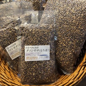 0021-18-02 富士山麓オーガニックファーマーズ もち麦 ダイシモチ 1kg×3袋セット