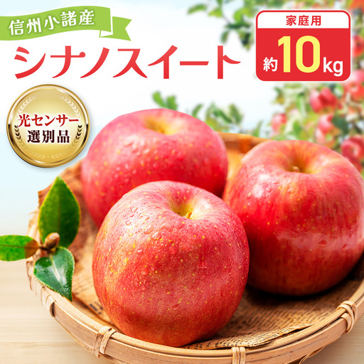 りんご シナノスイート 約10kg 24〜40玉入 りんご