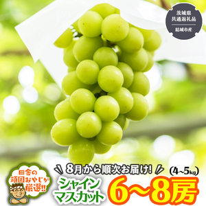 シャインマスカットはこれだっぺセット6〜8房入り[2026年8月から発送開始] (茨城県共通返礼品 [ぶどう]:結城市産)