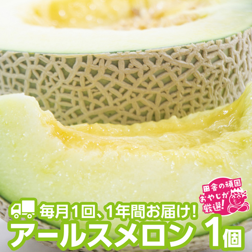 【定期便】 アールスメロン 食べてみセット 1個入り 毎月1回 1年コース (全12回) フルーツ 果物