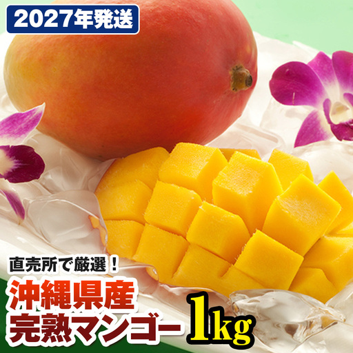 【2027年発送】直売所で厳選 沖縄県産「完熟マンゴー」1kg