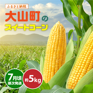 大山スイートコーン 等級(秀) 5kg 10〜14本入