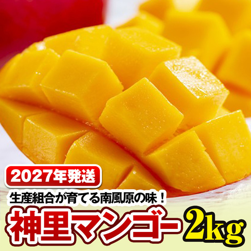 【2027年発送】生産組合が育てる南風原の味 神里マンゴー2kg