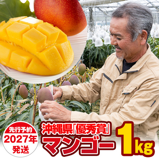 [2027年発送]芳醇な香り とろける食感 沖縄県「優秀賞」マンゴー1kg