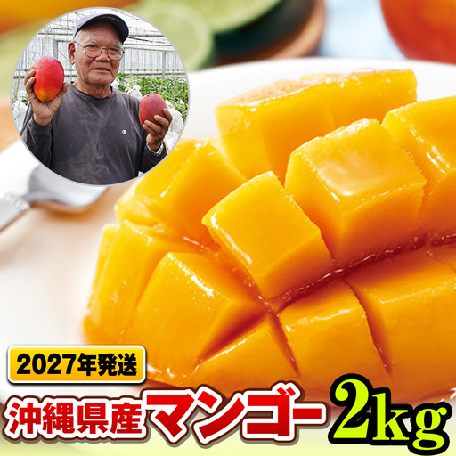 【2027年発送】濃厚な甘さ！とろける食感！沖縄県産マンゴー2kg
