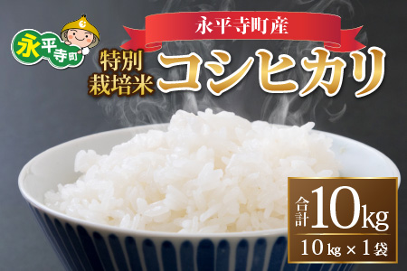 【先行予約】【白米】令和7年度産 永平寺町産 農薬不使用・化学肥料不使用 特別栽培米 コシヒカリ 10kg【10月上旬より順次発送開始予定】１０キロ 10kg 米  米 お米 コメ 送料無料 こしひかり 福井