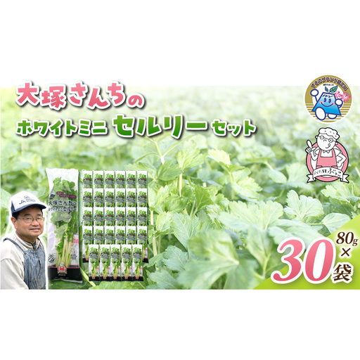 ホワイトミニセルリー 30袋入り 野菜 詰め合わせ セルリー セロリ ミニセロリ 新鮮 産地直送 業務用 大容量 まとめ買い 野菜セット ギフト 詰合せ 常備野菜