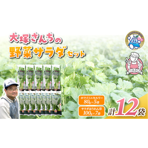 ホワイトミニセルリー 5袋 ＆ サラダほうれん草 7袋 計12袋セット 野菜 詰め合わせ セロリ ミニセロリ ほうれんそう 新鮮 産地直送 野菜セット 食べ比べ 詰合せ 業務用 大容量 まとめ買い