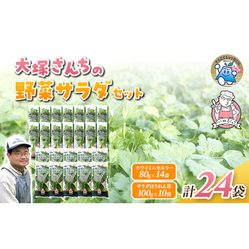 野菜セット ホワイトミニセルリー サラダほうれん草 野菜セット【計24袋 セルリー14袋 ほうれん草10袋】