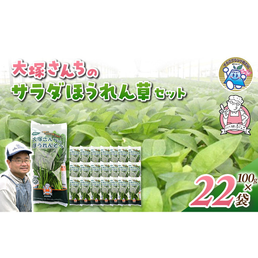 サラダほうれん草 ほうれん草 野菜 サラダほうれん草【22袋】