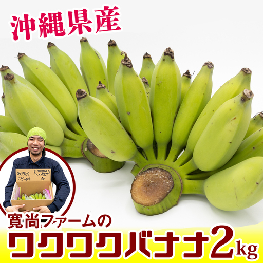 【沖縄県産】寛尚ファームのワクワクバナナ　2kg