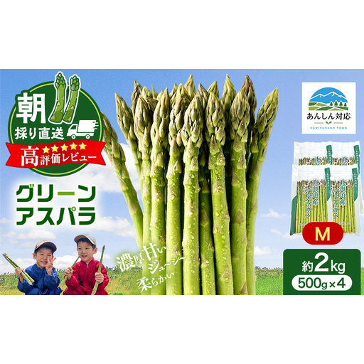 グリーンアスパラ 特選 原農園 朝採り グリーンアスパラ【2kg Mサイズ】【先行予約】
