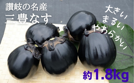 讃岐の名産 三豊なす 約1.8kg 野菜 ナス 茄子 野菜セット