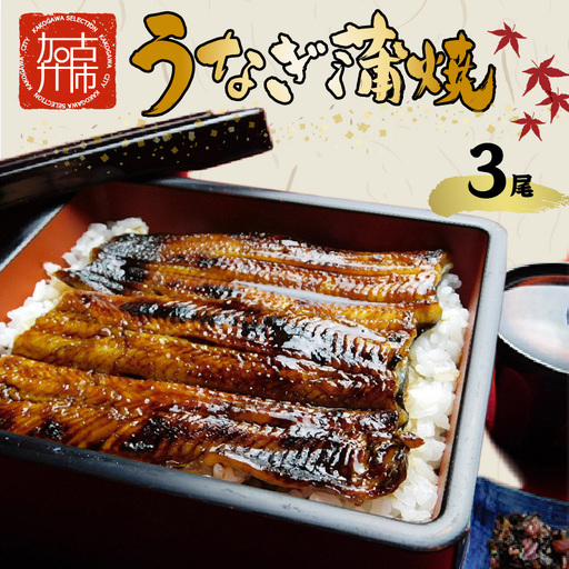  鰻の蒲焼き3尾(6パック)たれ別・挽きたて粉山椒付《ふっくら 焼きたて うなぎ蒲焼き お茶漬け ひつまぶし》【2403D05601】
