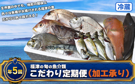 【年5回】福津の旬の魚介類こだわり定期便【加工承り】【随時開始】[H7018]