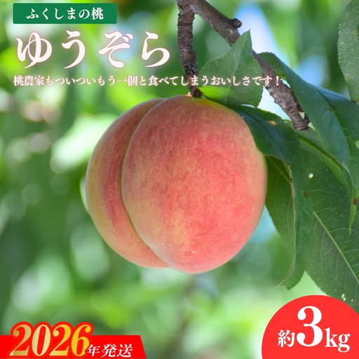 No.1203福島の桃 「ゆうぞら」約3kg[2026年発送]