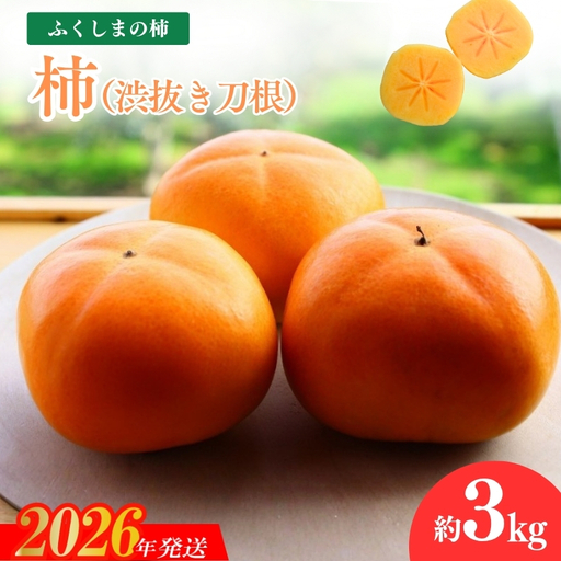 No.1205福島の柿「渋抜き柿」（刀根早生又は平たねなし）約3kg【2026年発送】