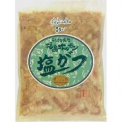 No.1248　ふくしまご当地！福島ホルモン　塩がつ　麓山高原豚使用　【5パック入】