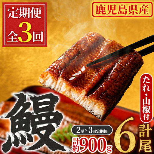 [定期便・全3回]東串良町 うなぎ 蒲焼 (無頭)(2尾・計約300g・タレ、山椒付×3回) 高級 ウナギ 鰻 国産 たれ 鹿児島 ふるさと 人気[アクアおおすみ][0304303b]