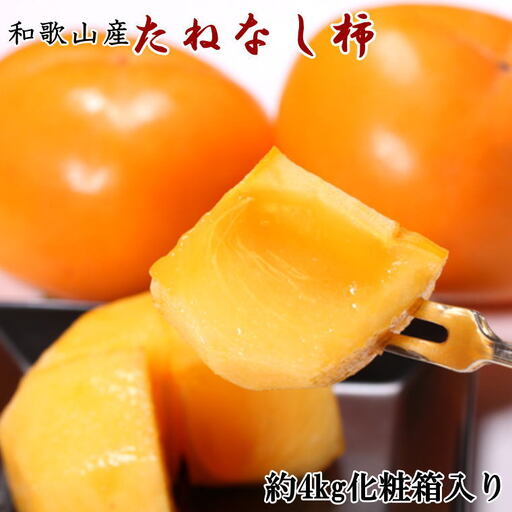 【秋の味覚】和歌山産のたねなし柿2L～4Lサイズ約4kg（化粧箱入り）【tec409A】