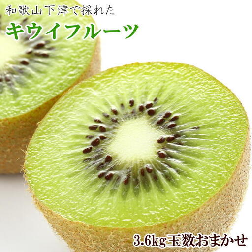 和歌山の下津で採れたキウイフルーツ約3.6kg（玉数おまかせ・秀品）※2027年1月中旬～2027年3月上旬頃に発送【tec502B】
