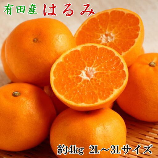 [厳選・濃厚]紀州有田産のはるみ約4kg(サイズおまかせ) ※2027年1月下旬〜2027年2月中旬頃より順次発送[tec820B]