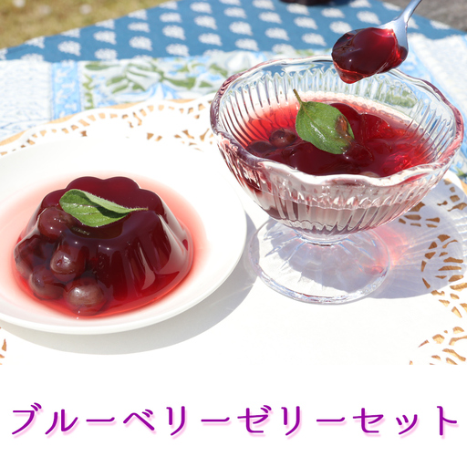ブルーベリーゼリーセット(90g×12個) [0229]