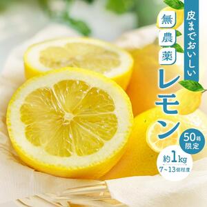 皮まで美味しい無農薬レモン 約1kg[栽培期間中農薬不使用]