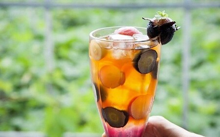 漆山果樹園 ぶどう狩り & 無添加ジェラートのカフェ利用券 1枚 『漆山果樹園』 山形県 南陽市 [786]