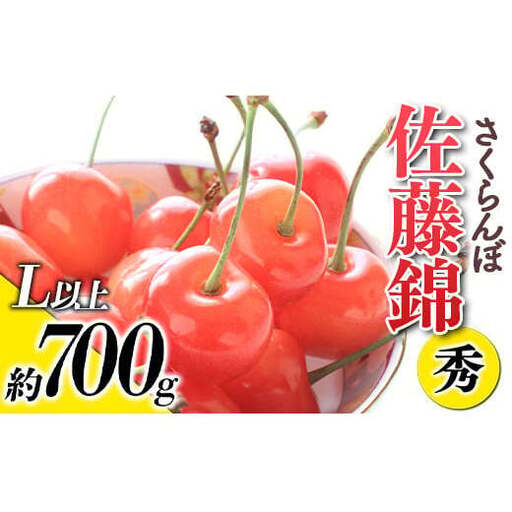 [令和9年産先行予約] さくらんぼ 「佐藤錦」 約700g (秀 L以上) バラ詰め [令和9年6月上旬〜発送] 『生産者おまかせ』 サクランボ 果物 フルーツ 産地直送 生産農家直送 山形県 南陽市 [884]